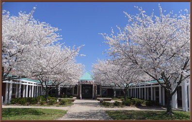 Picture of front of Lake Wylie Elementary School.